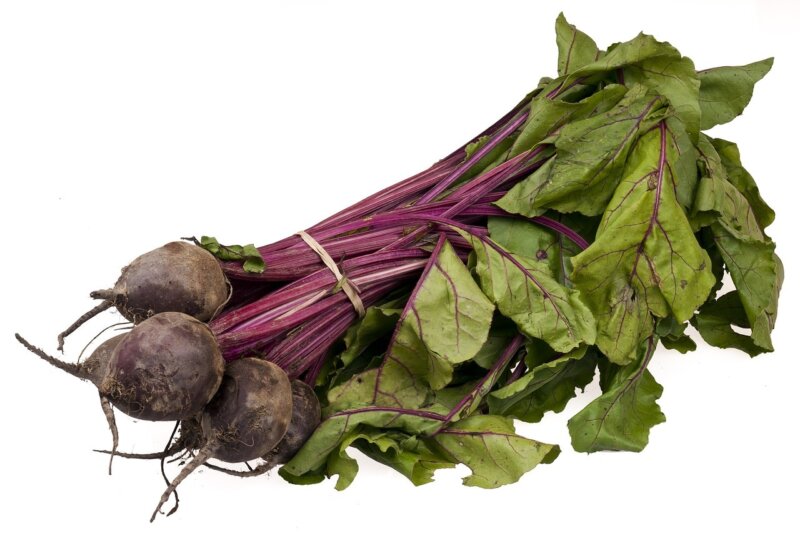A bunch of fresh beetroot with leaves, long stems, and large green foliage sits against a pristine white background.