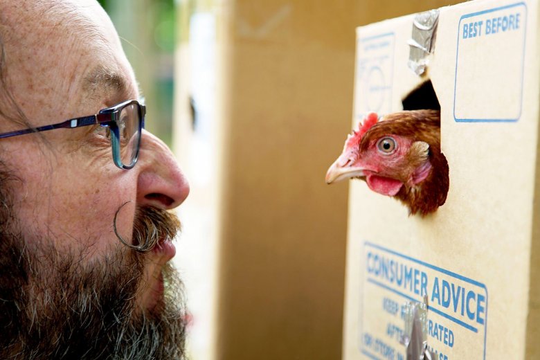 Chicken & Egg: Tuesdays, 8pm on BBC Two